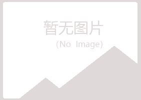 红原县字迹采矿有限公司